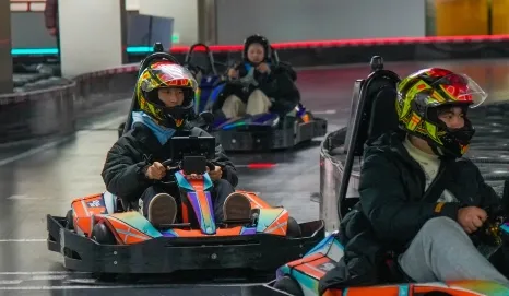 Flash Badger Electric Go Kart Top Choice for Thrill-Seekers and Racing Enthusiasts