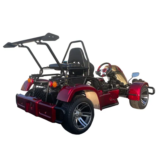 New Design High Performance 170cc Gasoline Go Kart Professional Racing Karting