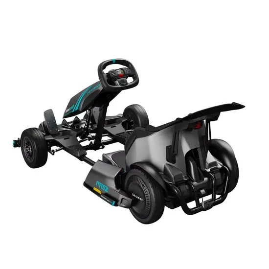 Hot Sale Electric Go Kart Dual Drive 2400W*2 for Adults and Kids Ninebot Electric Go Kart PRO 2