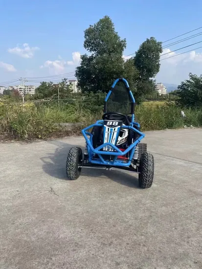 New Design Go Cart for Playground Battery Gasoline Version 1 Seats 2 Seats for Adults and Kids Happy Games