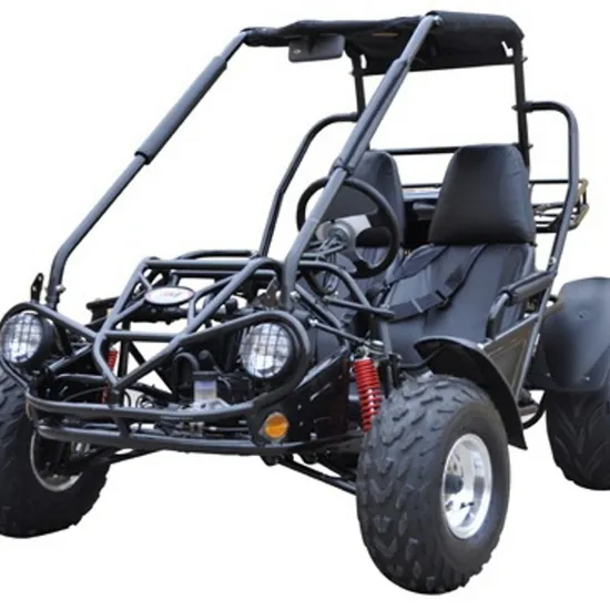 Premium 500cc Two-Person Electric Kart 4X4 All-Terrain Drive Adult Kart