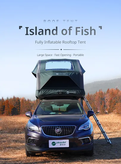Tents Camping Outdoor Large Family Buy Camping Inflatable Roof Top Tent for Sale