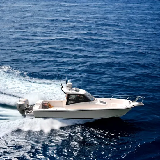 31FT Fiberglass Cabin Fishing Boat/Walk Around Fishing Boat for Sale