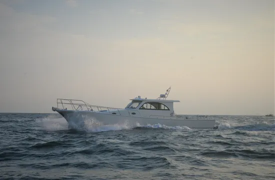 Luxury Sport Fishing Yacht Fishing Boat SUV46