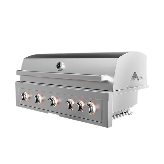 Outdoor Kitchen Built-in BBQ Gas Grill with Infrared Back Burner