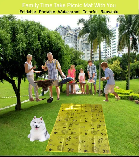 Customized Transparent PP Woven Foldable Handed Outdoor Beach Picnic Mat with Waterproof