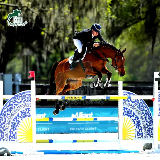 Aluminum Horse Jumping Obstacles for Adult Riders