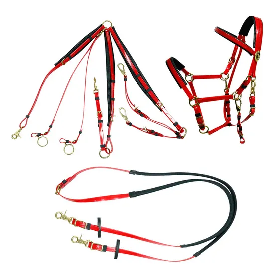 Colorful PVC Horse Halter for Horse Racing Horse Equipment Equestrian Halter with Soft Padding