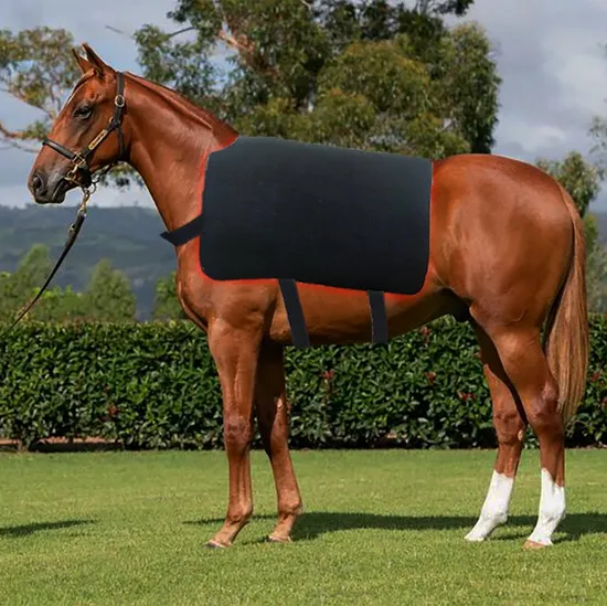 115X90cm Flexible Red Light Therapy Mat for Horse Back Pain Relief Healing