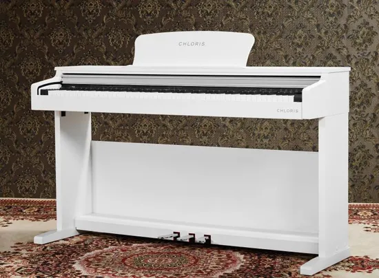Chloris 88 Keys Electric Piano Keyboard Wholesale Digital Piano Cdu-300W