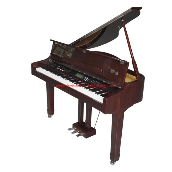 Walnut Polish Color Digital Grand Piano Mg10b