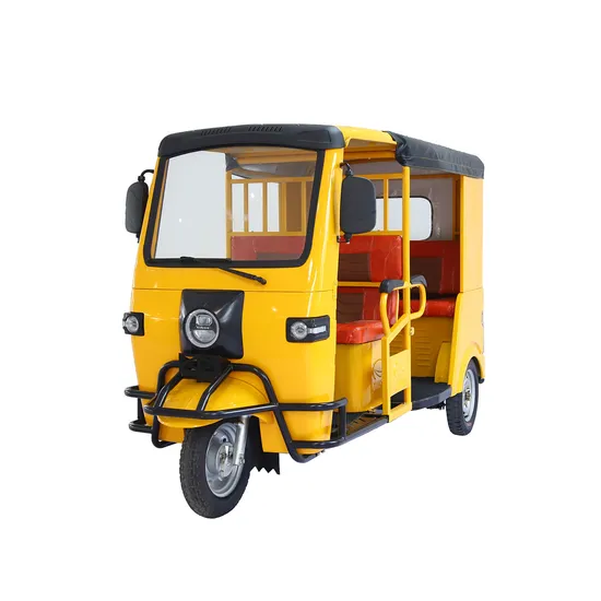 Sandi China Factory Hot Sale 3 Wheels Motorcycle Adult Cargo Electric Tricycle for Transport Palm