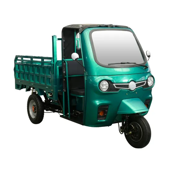 Greater Load-Bearing Capacity Triciclo Electric Loader Rickshaw Eco Friendly Baja Tuk Tuk Rickshaw fashion Tricycle