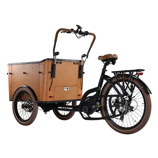 New Controller Ice Cream Electric Sedan Tricycle Scooter Bike Europe