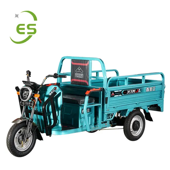 China New 1000W 1500W Three Wheel Cargo Electric Tricycle