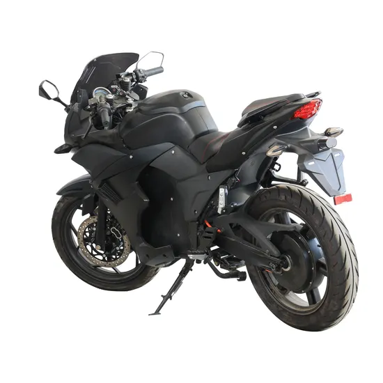 High Speed Long Range Electric Motorbike with QS Motor, Lingbo Controller