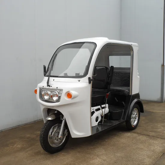 Three Wheelers Motorcycle Gas Bike Disabled Tricycle
