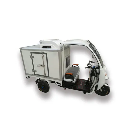 Integrated Fruit Meat Chicken Short Distance City Delivery Refrigerated Electric Tricycle Transport Roof Mounted Transport Refrigeration Unit with Low Price