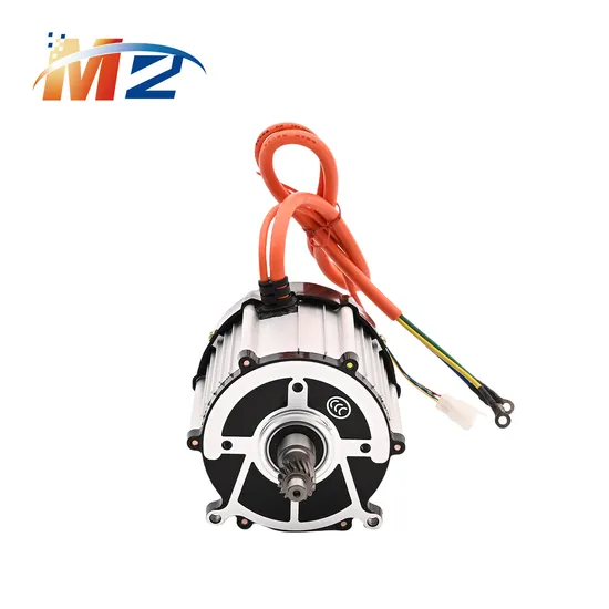 Best Sale 1000W BLDC 48/60V DC Brushless Motor for E Rickshaw