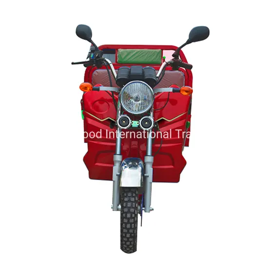 2024 New Cheap Best Electric Powered Tricycle for Sale