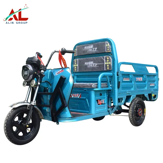 Electric Cargo Tricycle Mini Dumper Auto Tricycle 3 Wheel Delivery Tricycle