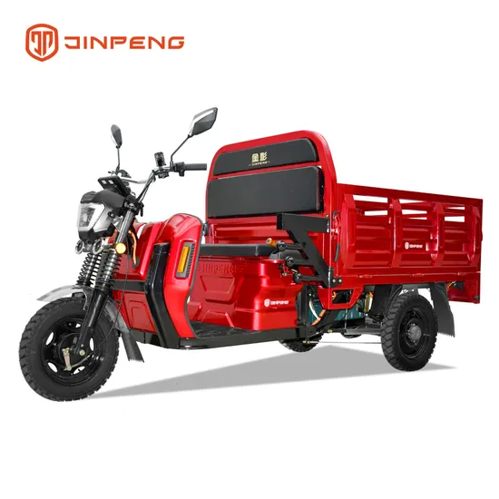 Dls150 PRO China Supplying Factory Price Electric Tricycle New Energy Resources Three Wheel Vehicle Electric Loader High Quality for Cargo Basic Customization