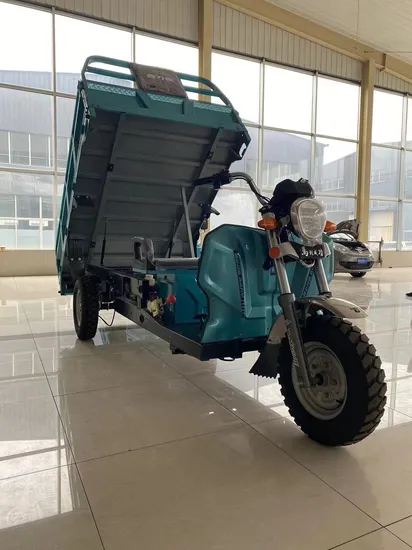 Transpor Goods High Quality Battery Cargo Adult Three Wheels Electric Tricycle