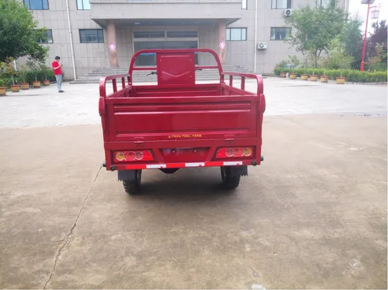 Hot Sale Motorbike Gas Tricycle Keke Motorcycle with Good Price