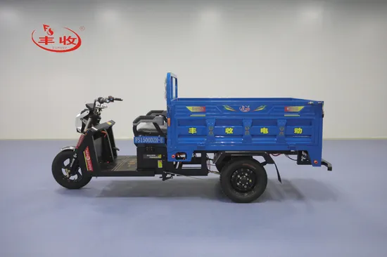 Powerful Electric Light Cargo Load Tricycle of 800 Kg Load Capacity