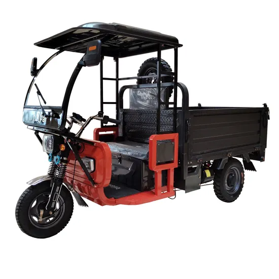 Highly Efficient Hydraulic Dump Electric Three-Wheeled Motorcycle Suitable for Powerful Cargo Transportation