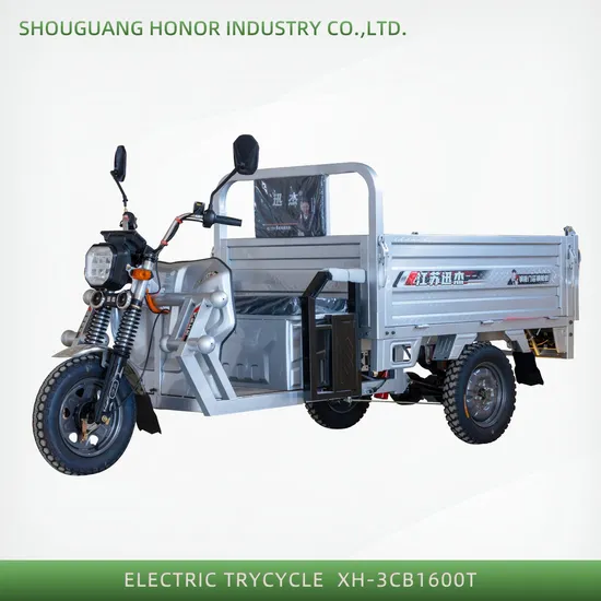 China Hot Sale 1200W Cargo Dump Electric Tricycle