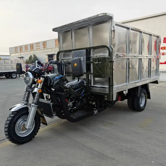 300cc Water-Cooled Hydraulic System Multi-Functional Garbage Sanitation Three-Wheeled Motorcycle
