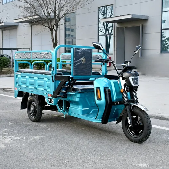 OEM Drum Three Wheel Cargo Motorcycle Trike Electric Tricycle for Passenger with Good Service