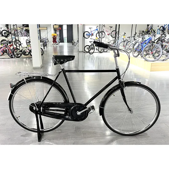 Good Qality Single Speed Mountain City Road 28/29 Size Iron Steel Material Bike Bikes for Man