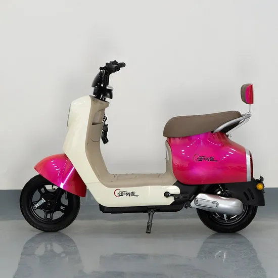 Electric Bike 48V 20ah Electric Bicycle Lithium Battery for Woman