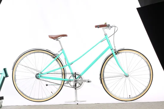 Track Bike with Durable Hi-Ten Steel Frame for City Riding From China