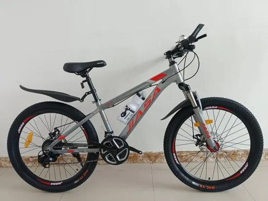 High Quality and Fashionable Adult Bicycle/27 Speed/Aluminum Frame Shock Absorber Front Fork/24 Inch/Mountain Bike