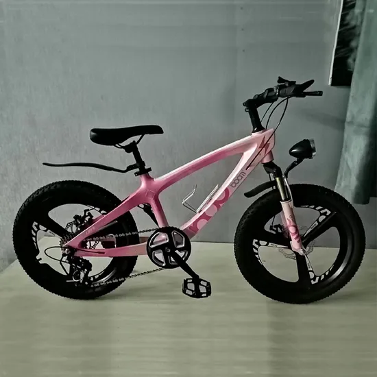 20 Inch Mountain Bike Mg Alloy Frame Suspension Bicycle Hebei Factory