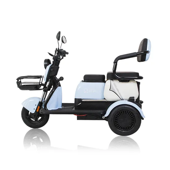Hot Selling Three Wheels Q-Star Electric Tricycle: Popular Made in China Electric Vehicle