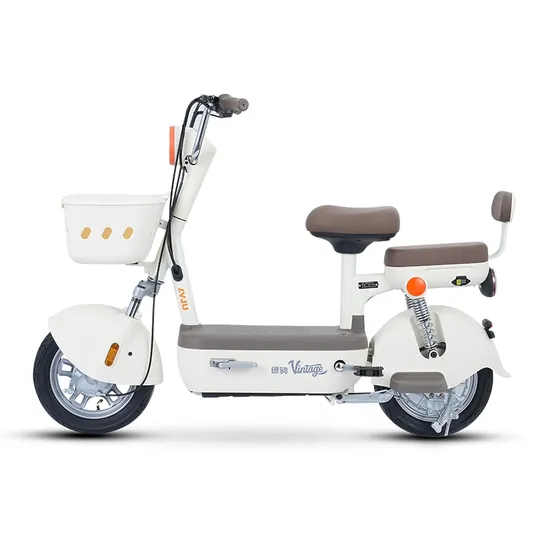 OEM Support Lvju Yoummy Mini City Bike 48/60V Lead Acid Battery Electric Bicycle
