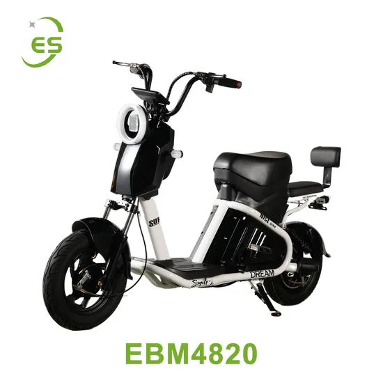 Chinese Factory 500W 48V Adult Popular Design Electric Scooter Hot Sold