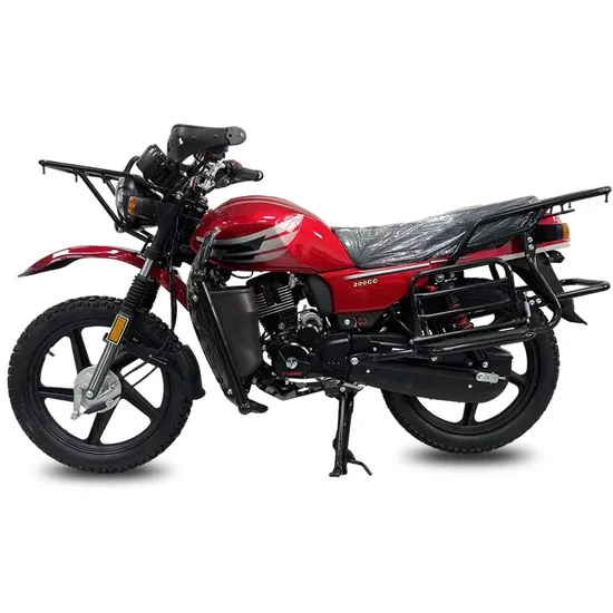 2024 Wy Power King 150cc 200cc GS Engine Racing Motorcycle