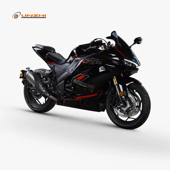400cc Double Cylinder Racing Motorcycle Street Bike Sports Motorbike Jiaolong
