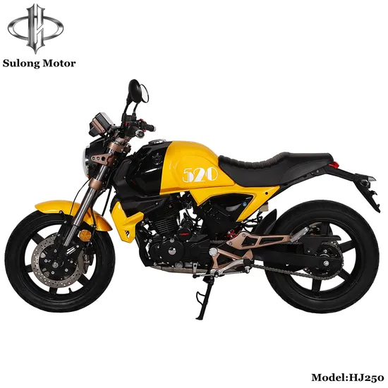 250cc Oil Cooling Engine Motorcycle for Ecuador