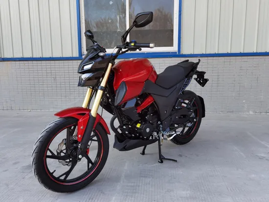 125cc/150cc/200cc/250cc New Design Motorcycle with LED Light From YAMAHA (MT)