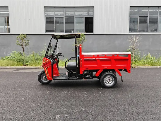 Gasoline-Powered Tricycle for Transporting Farm Products