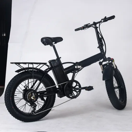 20 Inch Aluminum Alloy Built-in Li-ion Battery Sandbeach (snowfield) Electric Bike