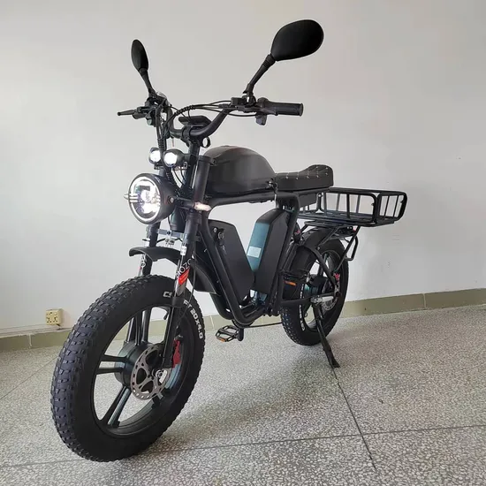 Factory Price 2000W Dual Motor 52V 70ah Longe Range Fast Electric Bike Cargo Ebike