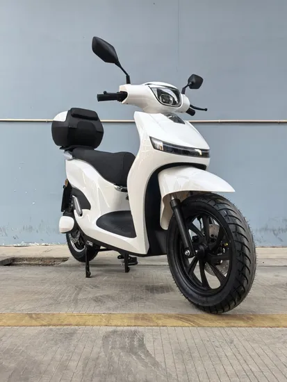 14 Inch Big Wheel Lithium Scooter Speed 100km/H