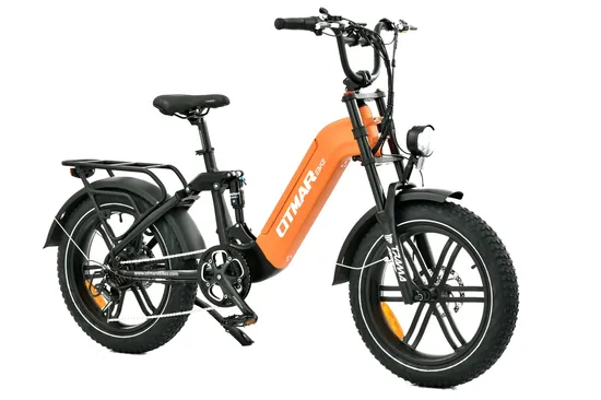 Top Sale 20inch 48V Battery Full Suspension Fat Tire Electric Dirt Bike